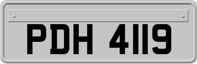 PDH4119