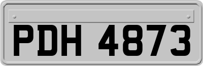 PDH4873