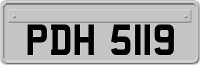 PDH5119