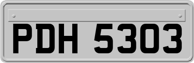 PDH5303