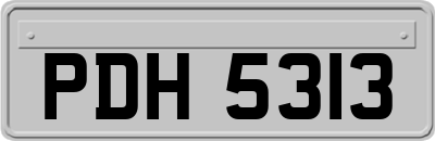 PDH5313