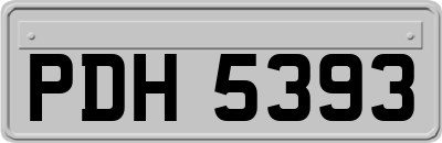 PDH5393