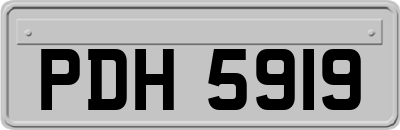 PDH5919