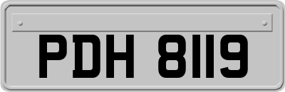 PDH8119