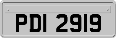PDI2919