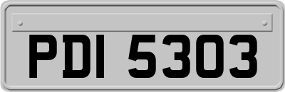 PDI5303