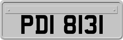 PDI8131