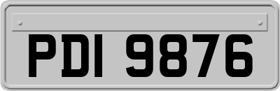 PDI9876