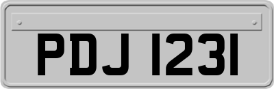 PDJ1231