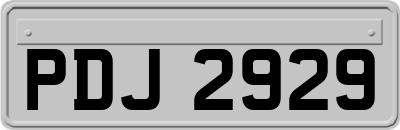 PDJ2929