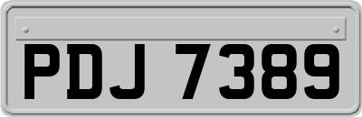 PDJ7389