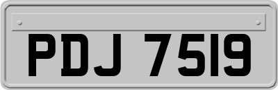 PDJ7519