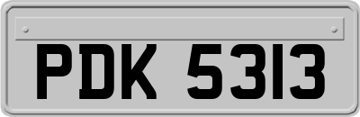 PDK5313