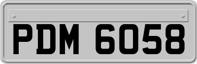 PDM6058
