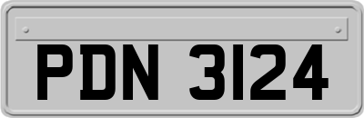 PDN3124