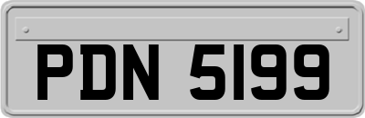 PDN5199