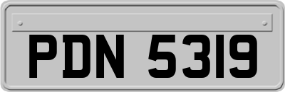 PDN5319