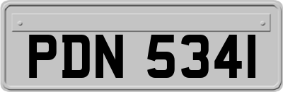 PDN5341