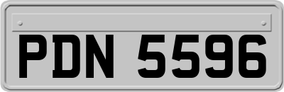 PDN5596
