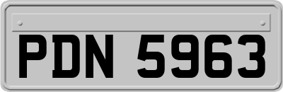 PDN5963