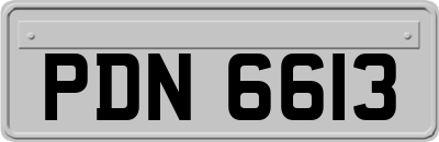 PDN6613