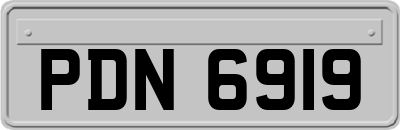 PDN6919