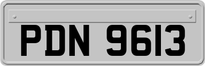PDN9613