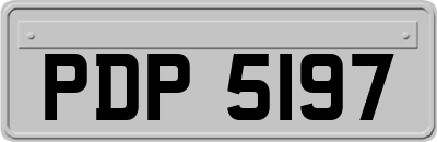 PDP5197