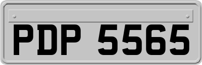 PDP5565