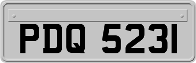 PDQ5231