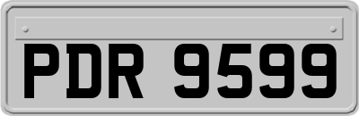 PDR9599