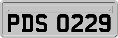 PDS0229