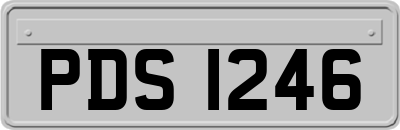 PDS1246