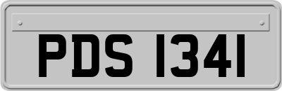 PDS1341