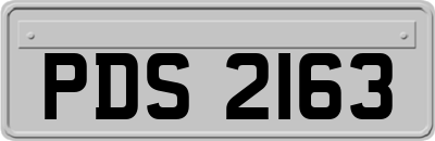 PDS2163