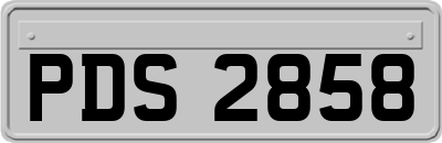 PDS2858