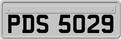 PDS5029