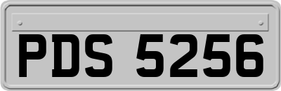 PDS5256