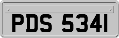 PDS5341