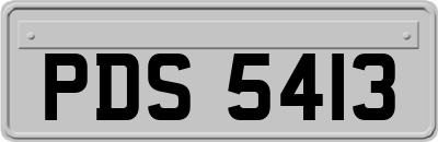 PDS5413