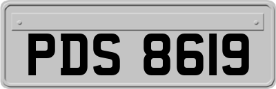 PDS8619