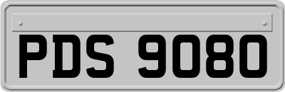 PDS9080