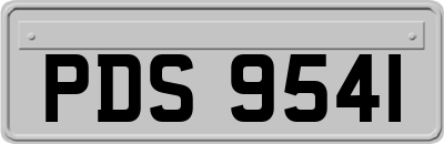 PDS9541