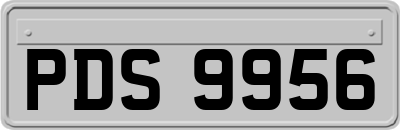 PDS9956