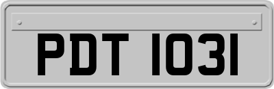 PDT1031