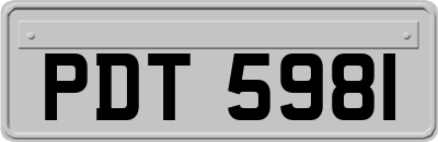 PDT5981
