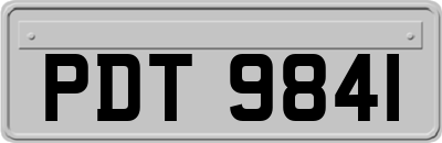 PDT9841