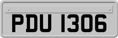 PDU1306