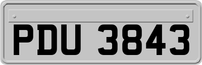 PDU3843