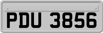 PDU3856